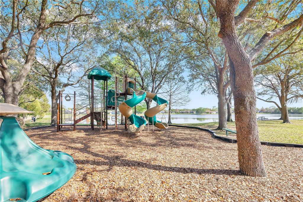 357 Kirkhill Street Ocoee, FL 34761 - Photo 32 of 36 a view of a yard with a tree
