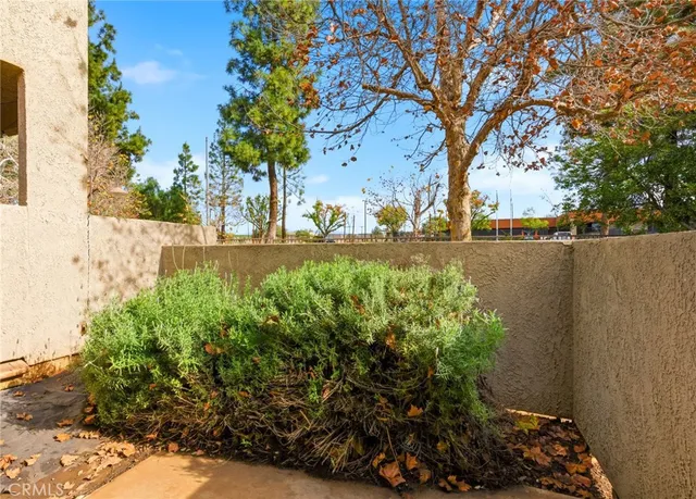 a view of a garden with a tree