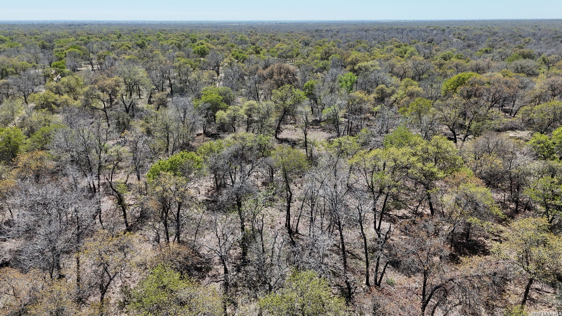 Tbd Trumbo Road Poteet, TX 78065 - Photo 2 of 5