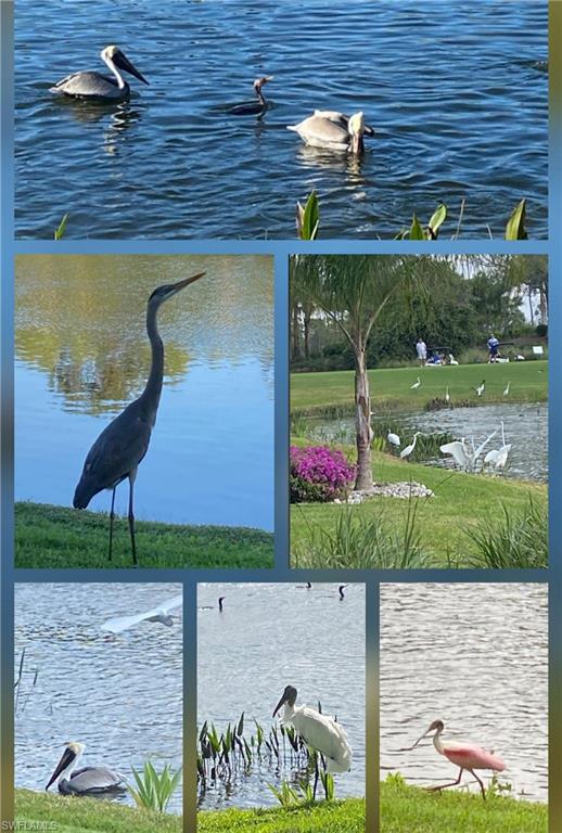 9241 Spring Run Boulevard, Unit 2206 Estero, FL 34135 - Photo 35 of 35