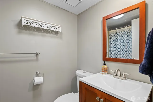 a bathroom with a sink vanity and toilet