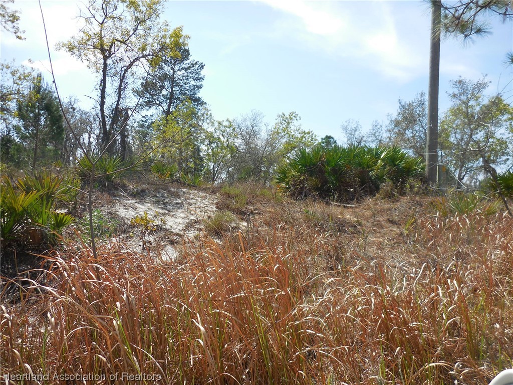 2843 West Cheviot Road Avon Park, FL 33825 - Photo 1 of 3 Gallery Image 1