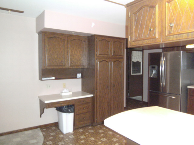 392 East Liberty Street Grand Ridge, IL 61325 - Photo 4 of 14