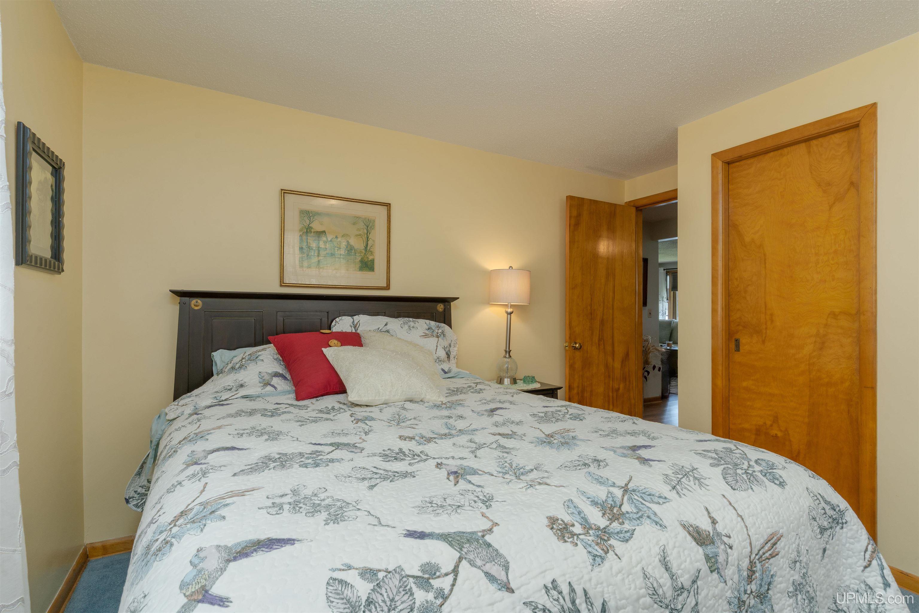 141 Noren Road Iron River, MI 49935 - Photo 16 of 53