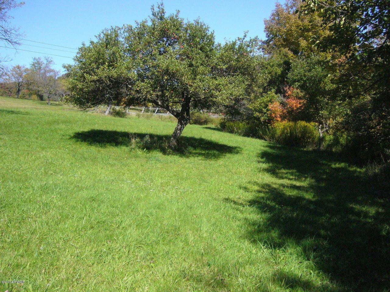 28 Jay Lord Road Hancock, NY 13783 - Photo 6 of 18