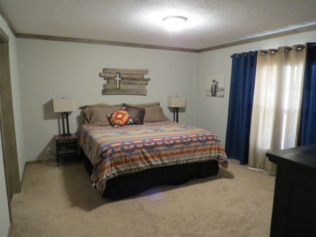 273 Miller Lane Goodspring, TN 38460 - Photo 15 of 42 a bedroom with a bed and a window