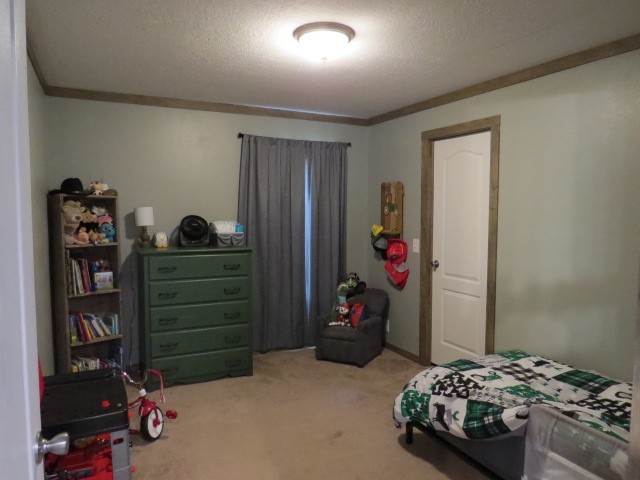273 Miller Lane Goodspring, TN 38460 - Photo 20 of 42 a bedroom with a bed and cabinets