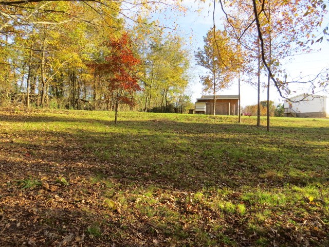 273 Miller Lane Goodspring, TN 38460 - Photo 24 of 42 a view of a big yard with an trees