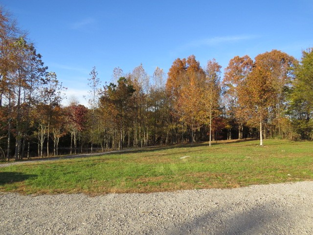 273 Miller Lane Goodspring, TN 38460 - Photo 25 of 42 a view of a field with trees in the background