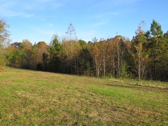 273 Miller Lane Goodspring, TN 38460 - Photo 26 of 42 a view of a field with trees in background