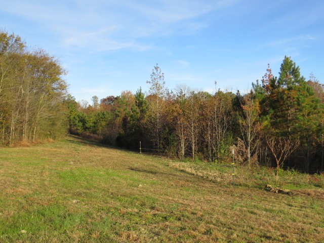 273 Miller Lane Goodspring, TN 38460 - Photo 27 of 42 a view of outdoor space with trees all around