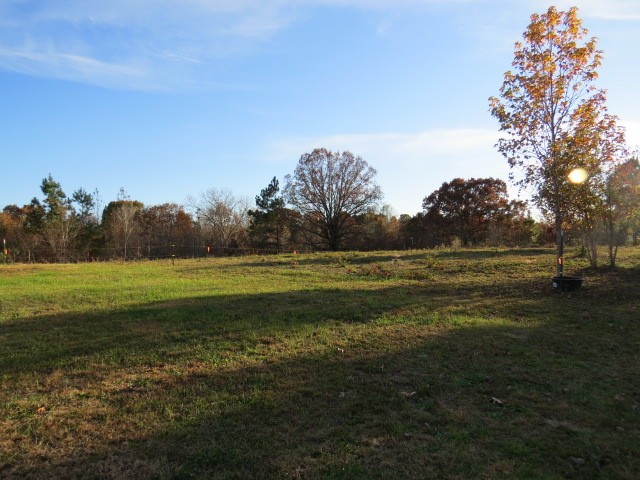 273 Miller Lane Goodspring, TN 38460 - Photo 29 of 42 a view of a green field with wooden fence