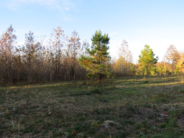 273 Miller Lane Goodspring, TN 38460 - Photo 35 of 42 a view of outdoor space and yard