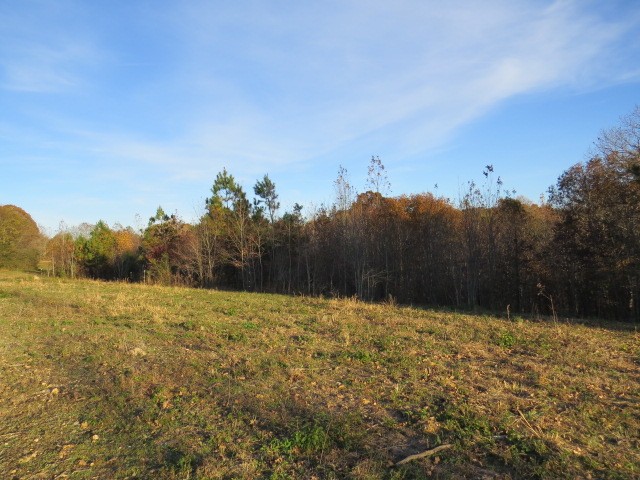 273 Miller Lane Goodspring, TN 38460 - Photo 38 of 42 a view of large yard with mountain and trees in the background