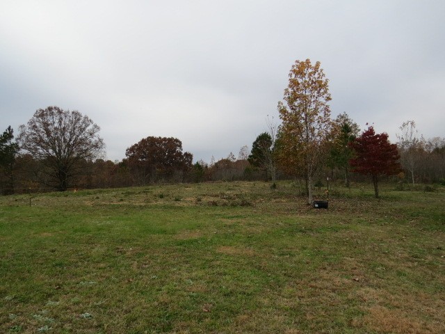 273 Miller Lane Goodspring, TN 38460 - Photo 40 of 42 a view of outdoor space and yard