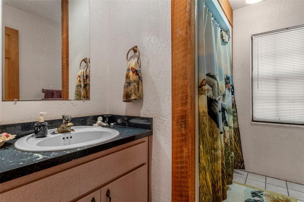 27910 Debbie Road Leesburg, FL 34748 - Photo 36 of 78