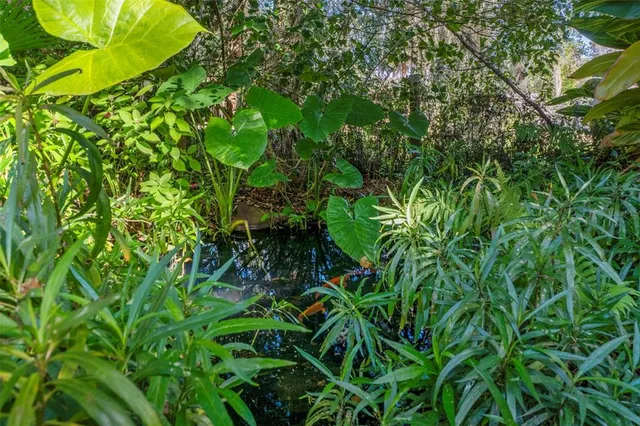 $1,900,000 | 27910 Debbie Road, Leesburg, FL 34748