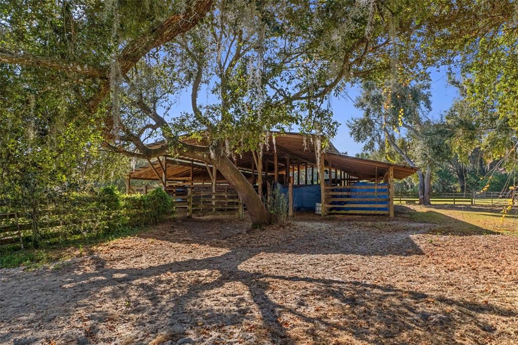 27910 Debbie Road Leesburg, FL 34748 - Photo 6 of 78