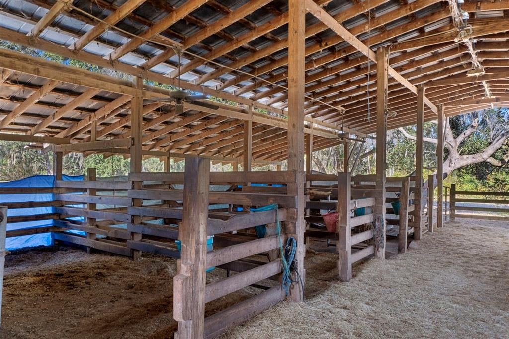 27910 Debbie Road Leesburg, FL 34748 - Photo 7 of 78