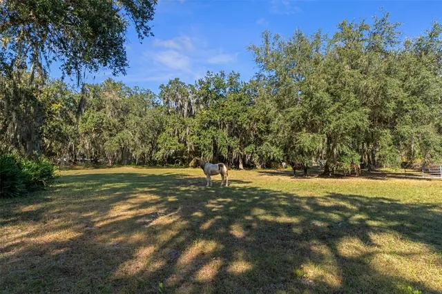 $1,900,000 | 27910 Debbie Road, Leesburg, FL 34748