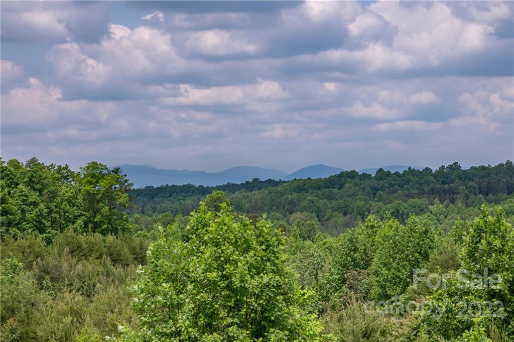 2221 Pea Ridge Road Mill Spring, NC 28756 - Photo 46 of 48 a view of a bunch of trees and bushes