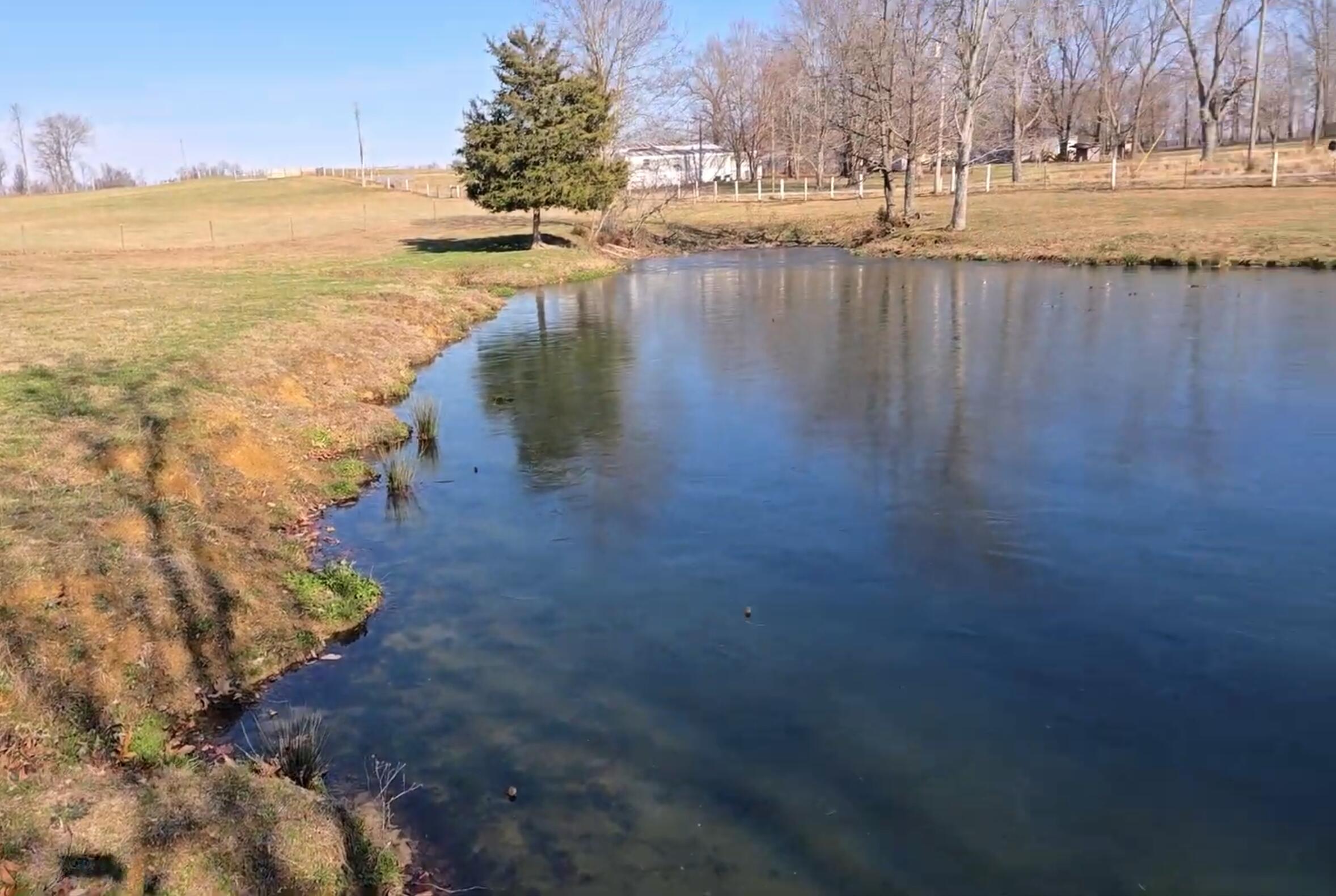 1085 Roohs Store-Craycraft Road Columbia, KY 42728 - Photo 2 of 26 Spring fed pond