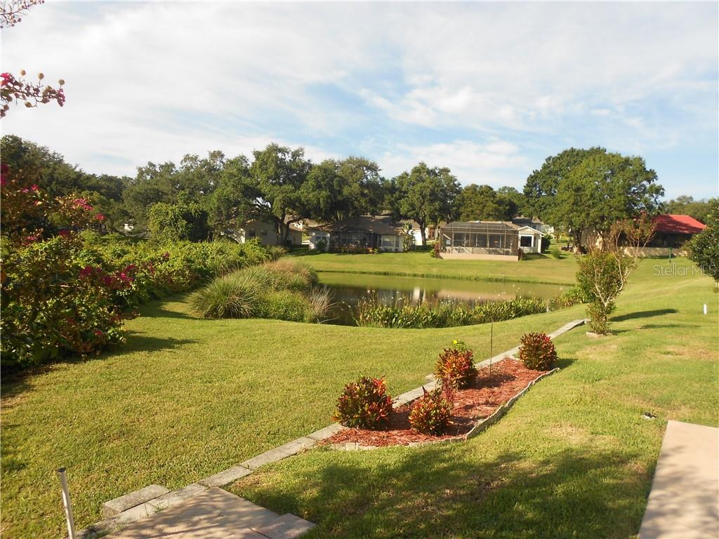 3436 Stirling Road Palm Harbor, FL 34684 - Photo 1 of 1 Gallery Image 1