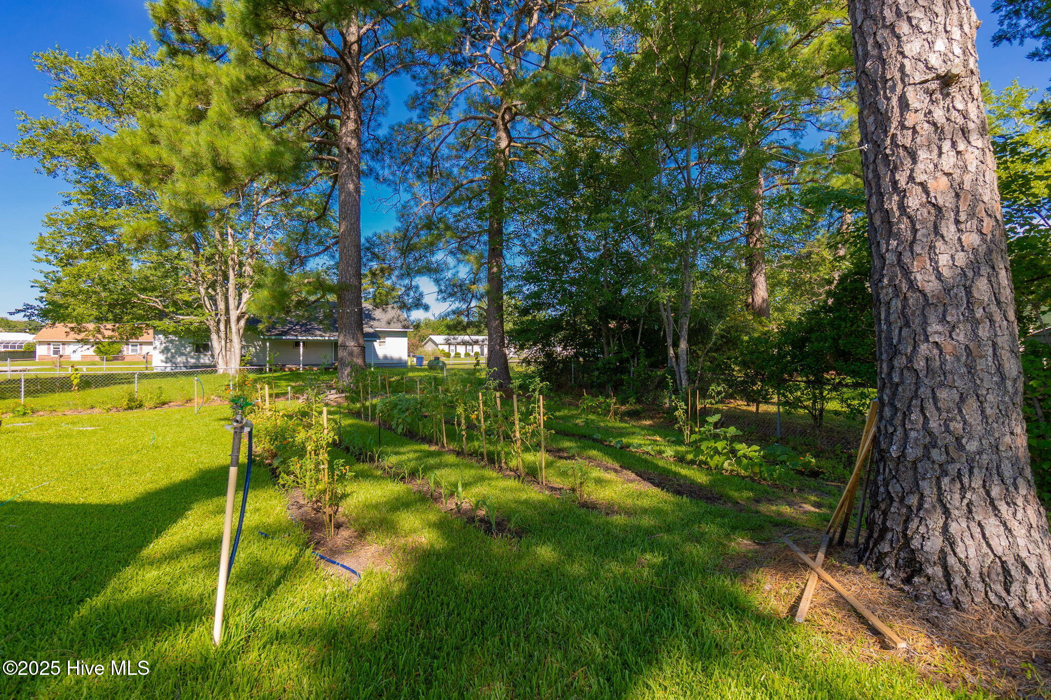 114 Wolfpack Court Havelock, NC 28532 - Photo 15 of 16 16-web-or-mls-cchadwick-visuals-114-wolf