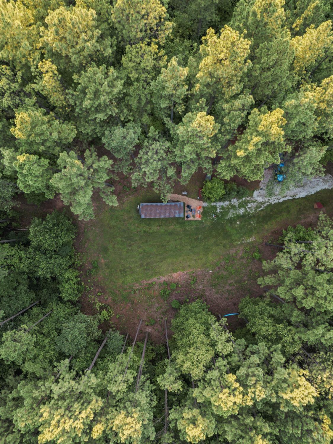 4374 Tye River Road Amherst, VA 24521 - Photo 1 of 19 a big yard with lots of green space and plants