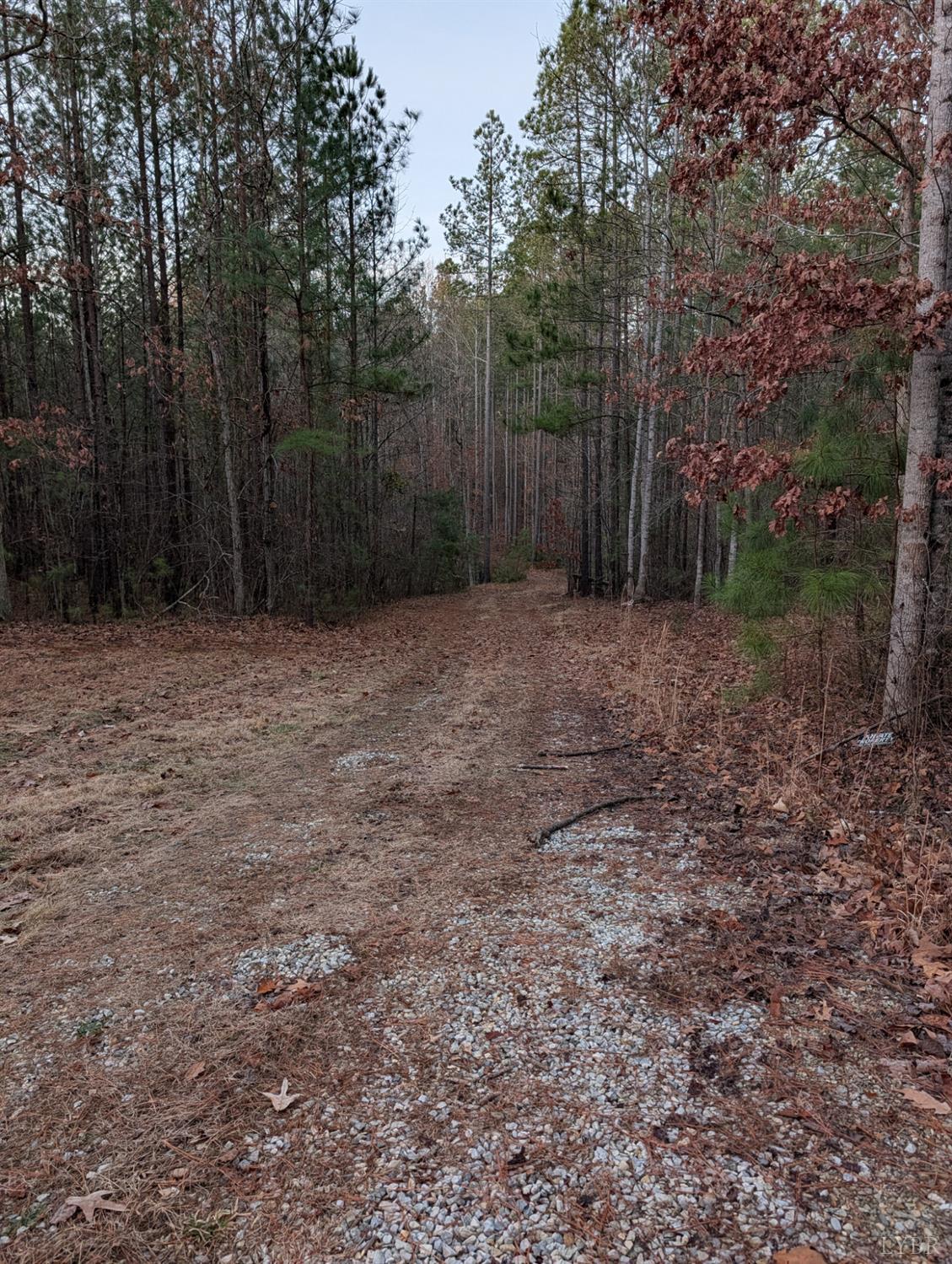 4374 Tye River Road Amherst, VA 24521 - Photo 17 of 19 a view of a yard with trees