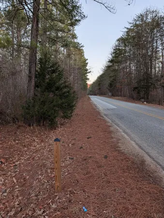 a view of a yard with trees