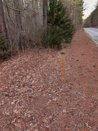 a view of a dry yard with trees in the background