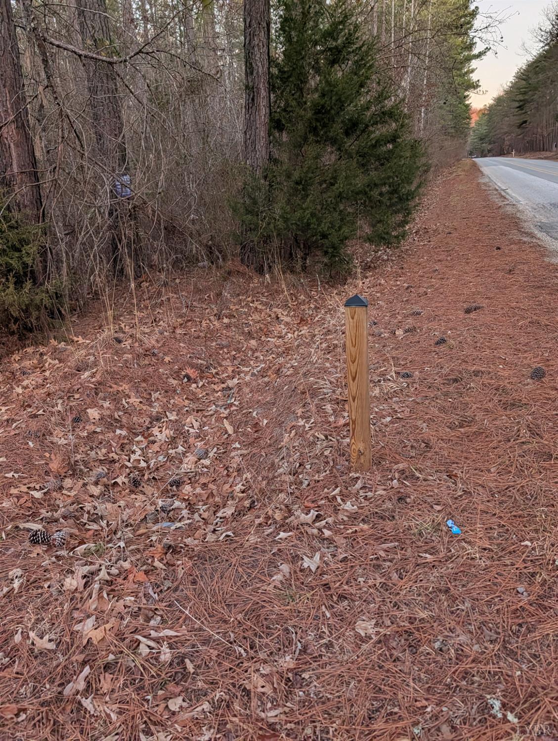 4374 Tye River Road Amherst, VA 24521 - Photo 19 of 19 a view of a dry yard with trees in the background