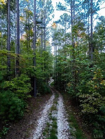 a view of a garden with plants and trees