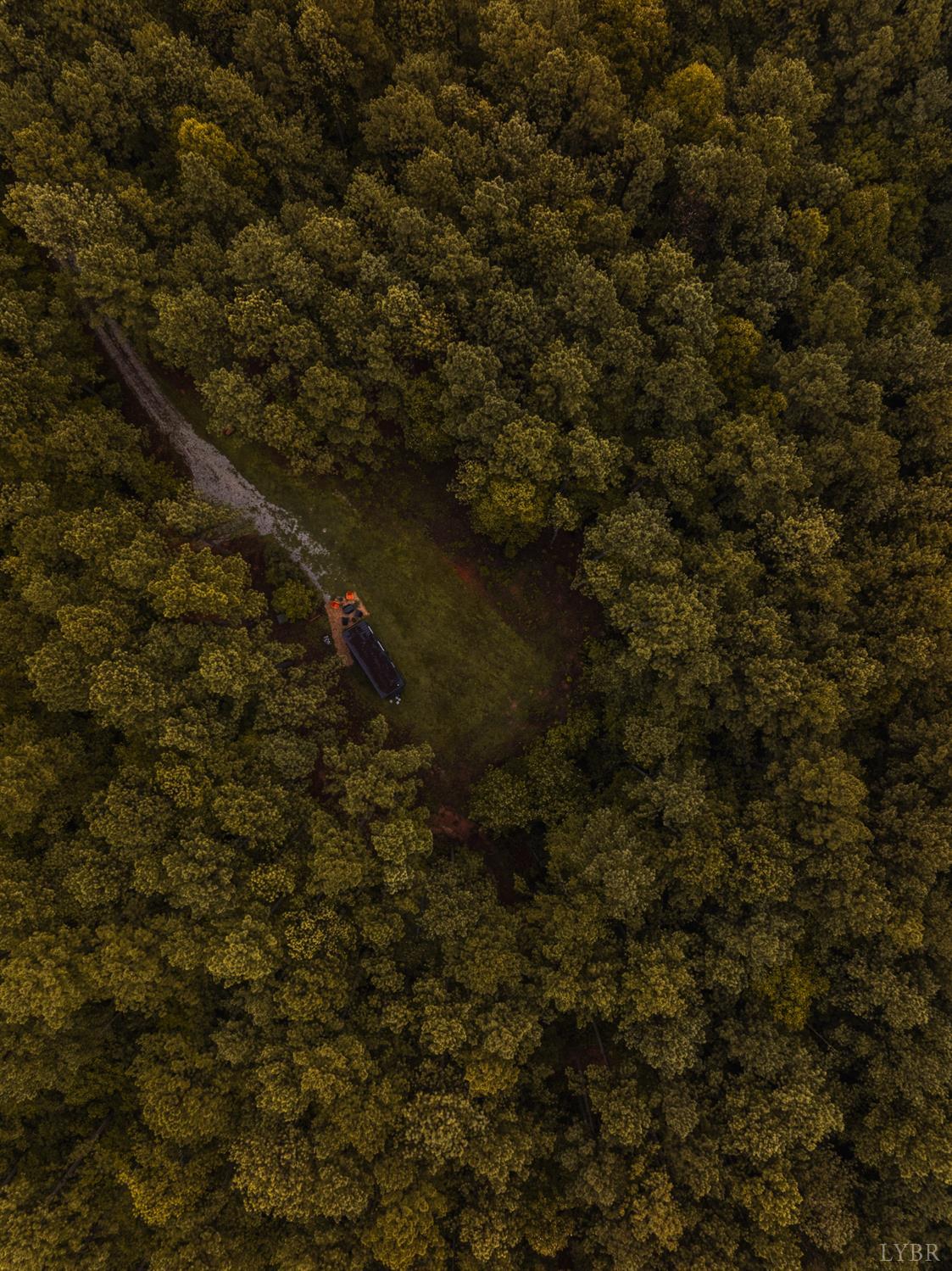 4374 Tye River Road Amherst, VA 24521 - Photo 3 of 19 a view of a tree with a tree