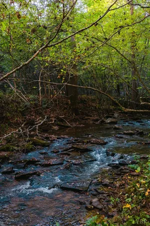 a backyard of a house