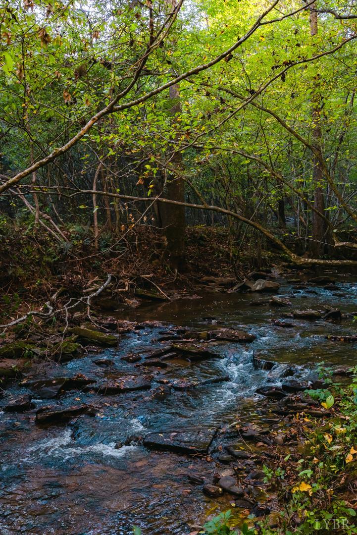 4374 Tye River Road Amherst, VA 24521 - Photo 5 of 19 a backyard of a house