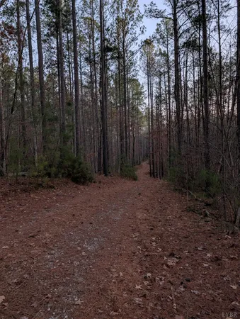 a view of backyard with green space