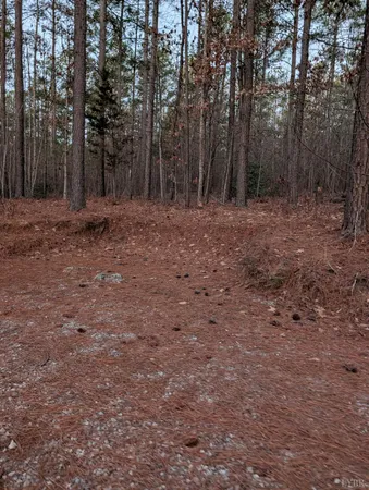 a view of outdoor space with trees