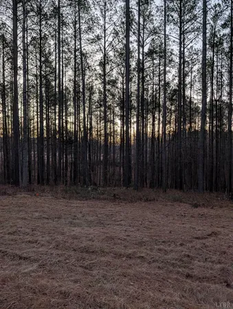 a view of outdoor space with wooden fence