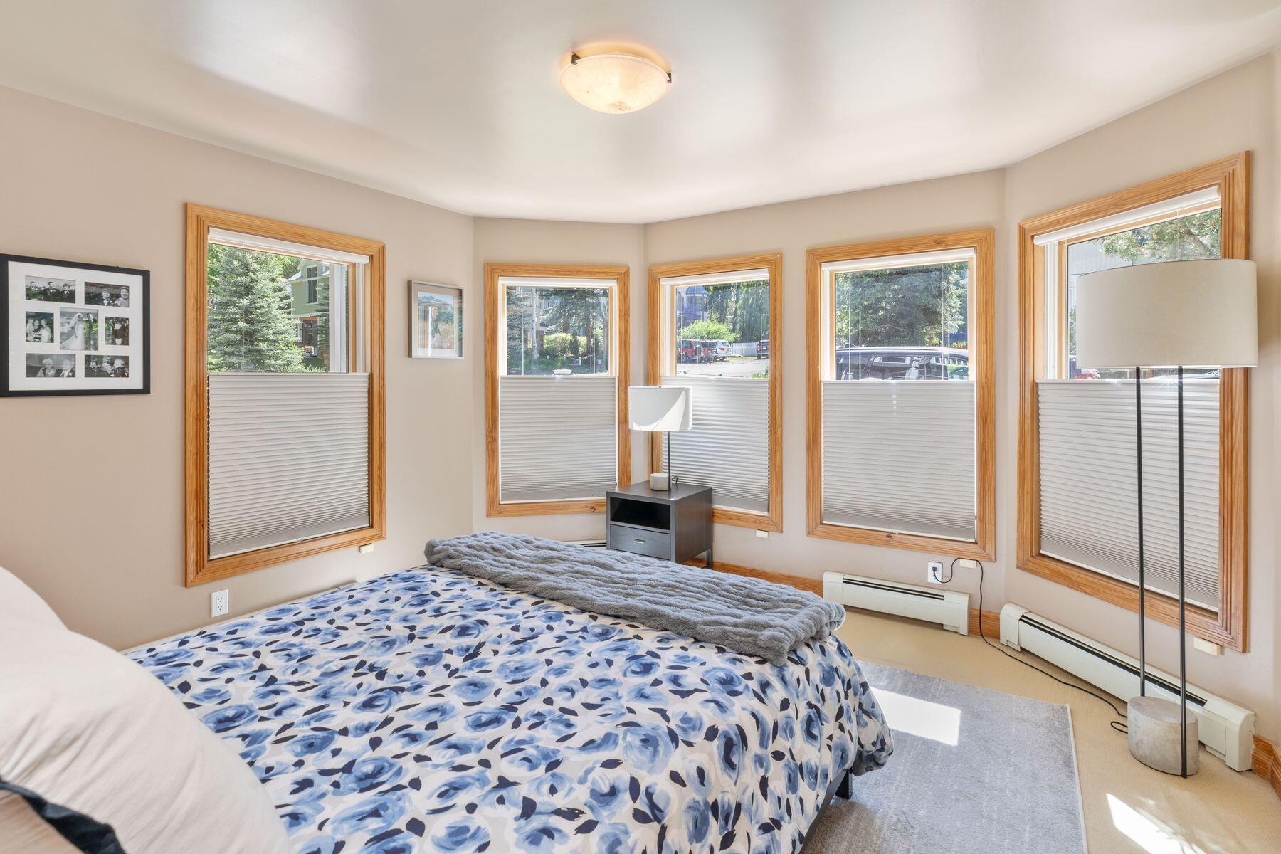 239 North Davis Street Telluride, CO 81435 - Photo 5 of 42 photo_online_008
