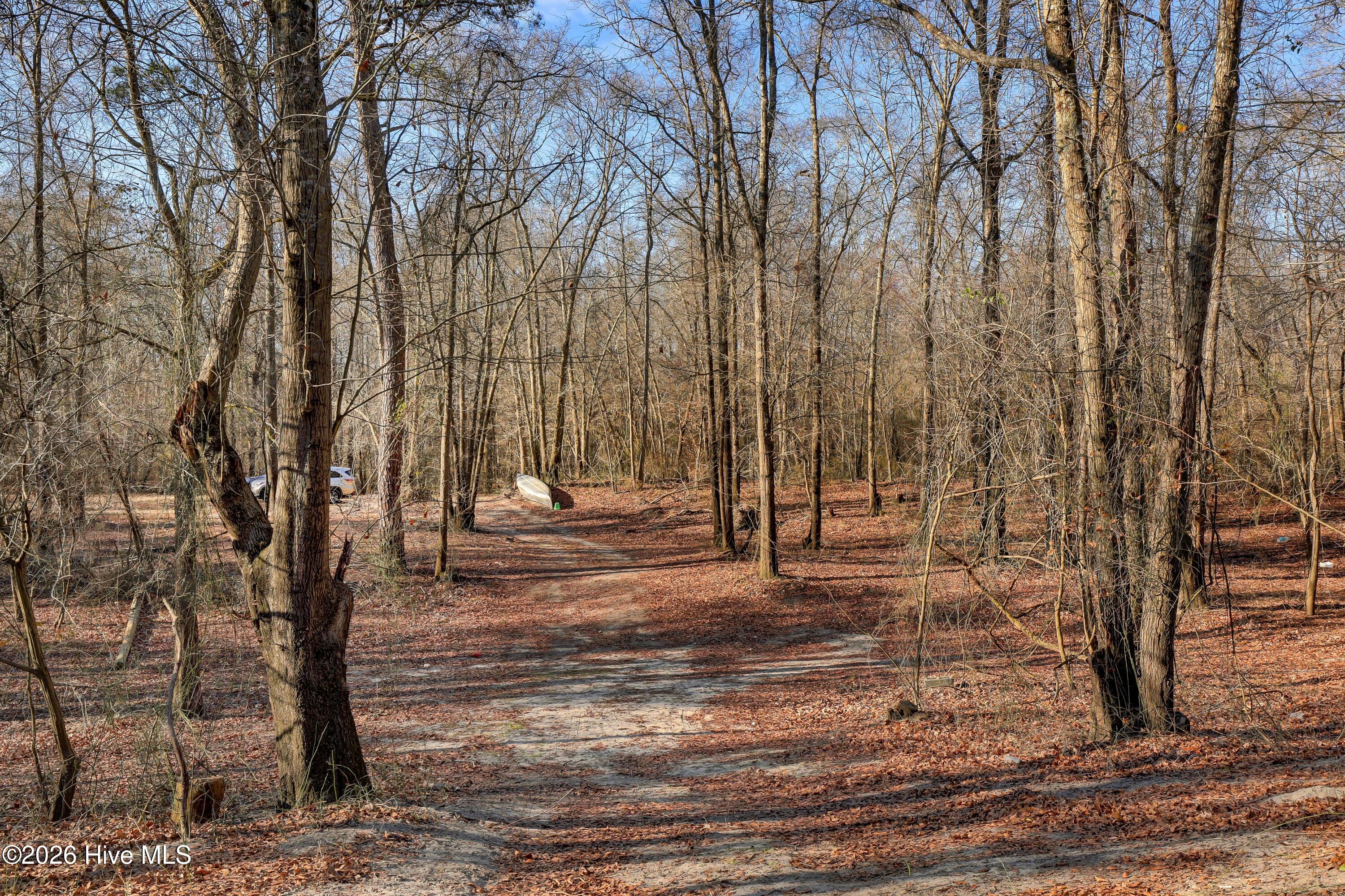 Lot 19 Ruddy Duck Lane Willard, NC 28478 - Photo 25 of 34 003_6g8a1503_180