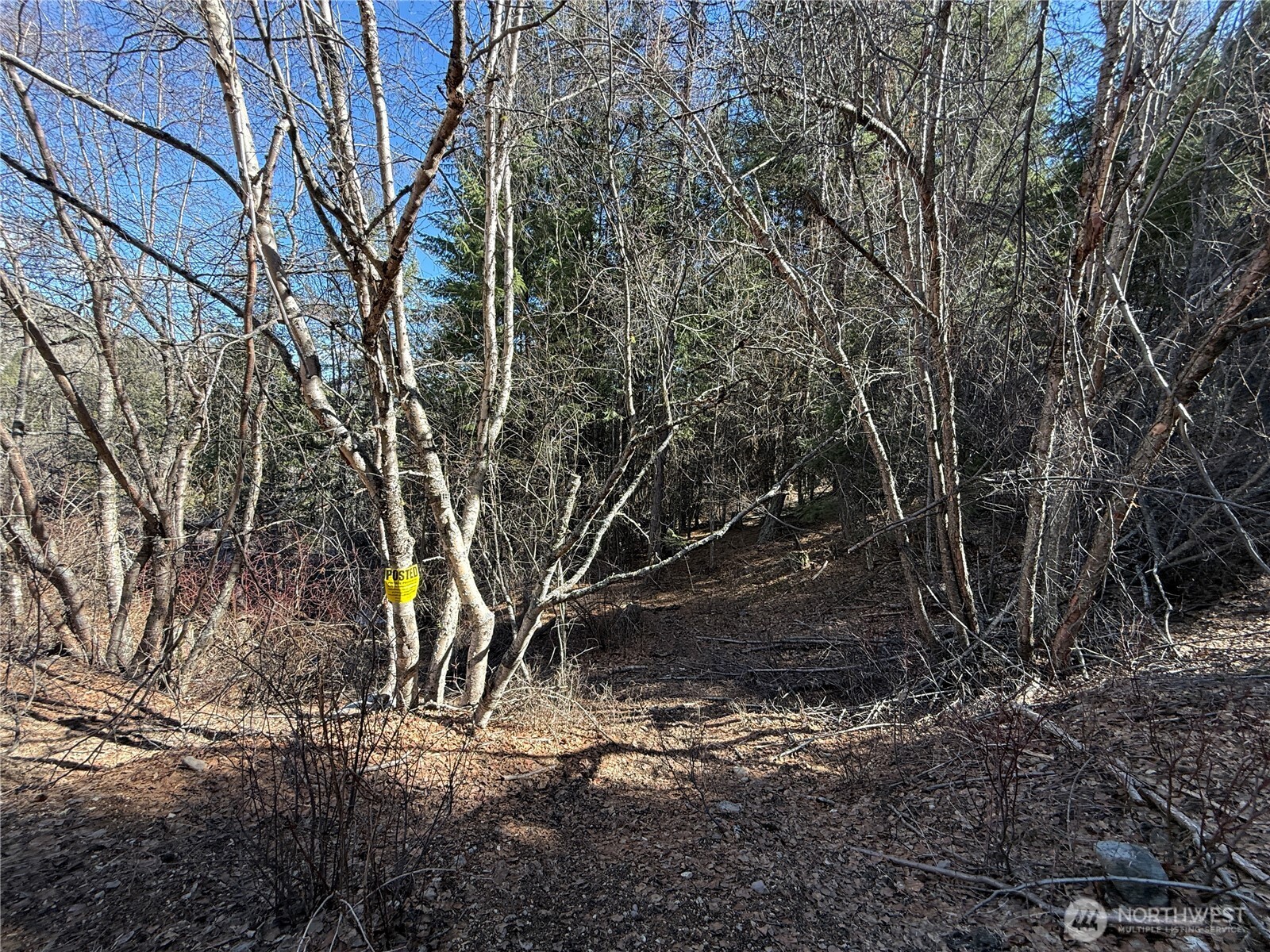 0 Coogan Creek Road Wauconda, WA 98859 - Photo 4 of 18
