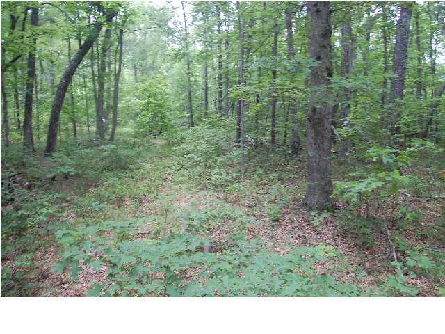 11.8 Old State Road, Unit B Cloudland, GA 30731 - Photo 5 of 7 Additional Photo