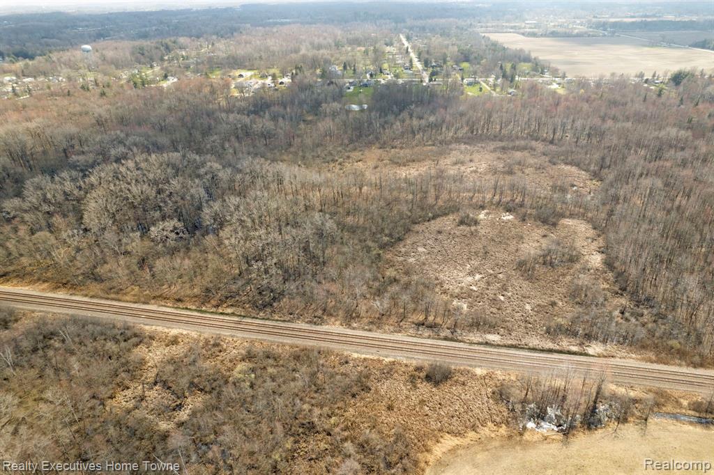 0 Griswold Road Smiths Creek, MI 48074 - Photo 4 of 7