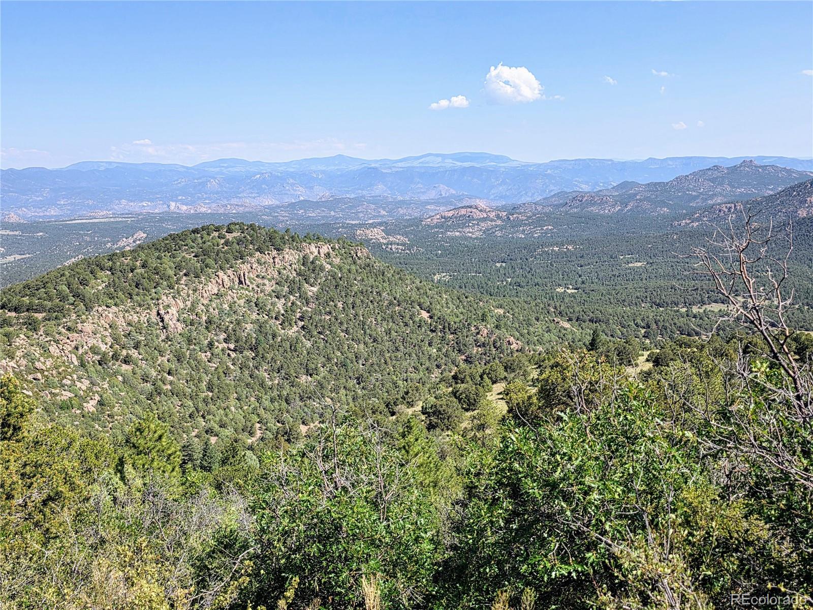 781 Ridgeway Road Cotopaxi, CO 81223 - Photo 11 of 42 a view of a lush green hillside and a building