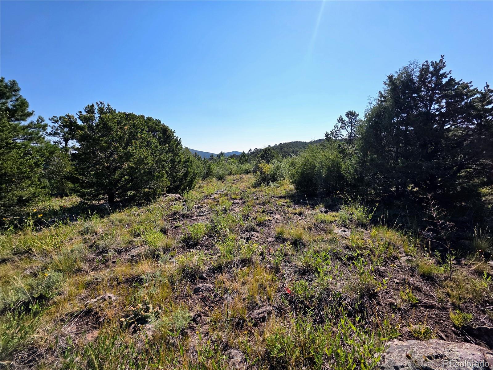 781 Ridgeway Road Cotopaxi, CO 81223 - Photo 14 of 42 a view of a field