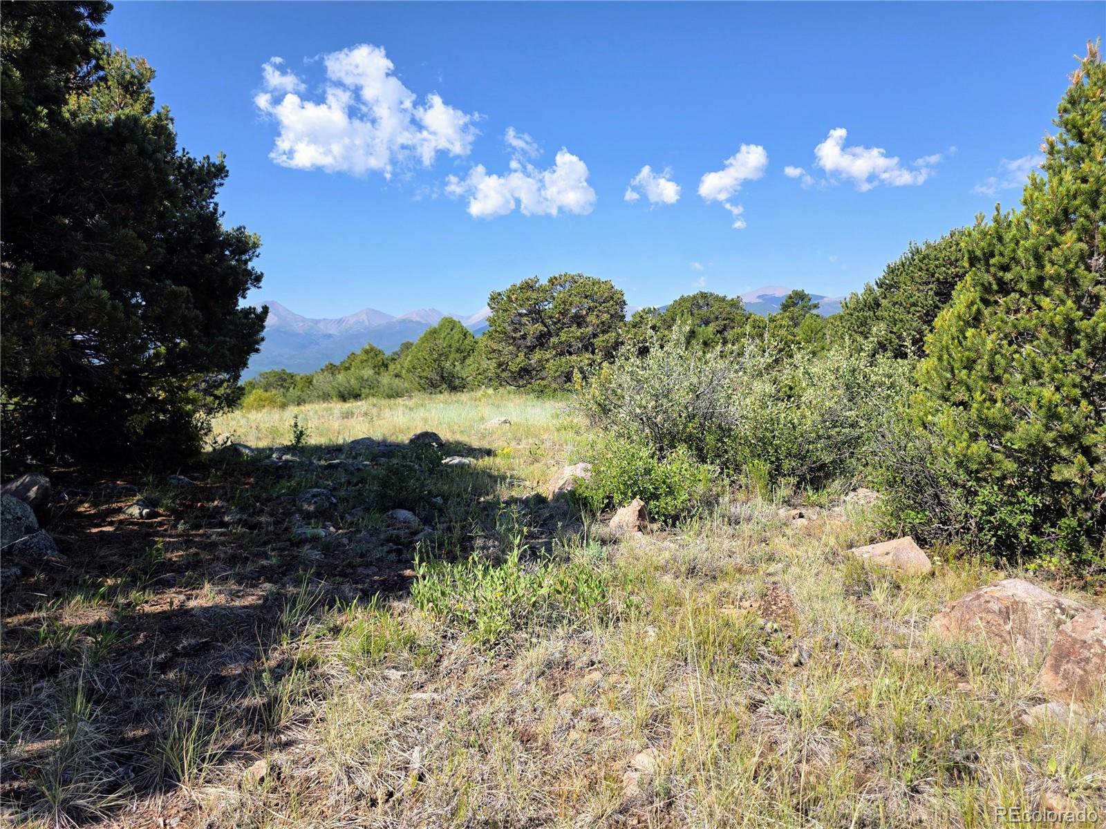 781 Ridgeway Road Cotopaxi, CO 81223 - Photo 18 of 42 a view of a yard with lots of green space