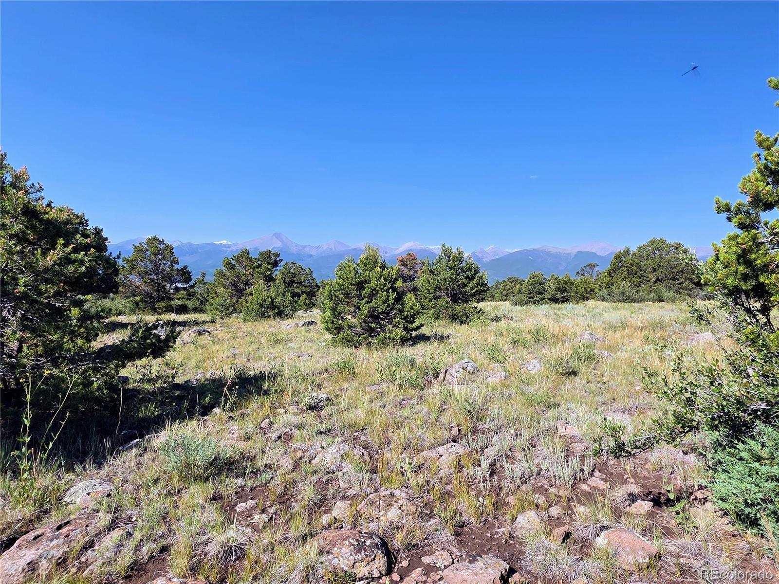 781 Ridgeway Road Cotopaxi, CO 81223 - Photo 19 of 42 a view of a field with a tree in the background