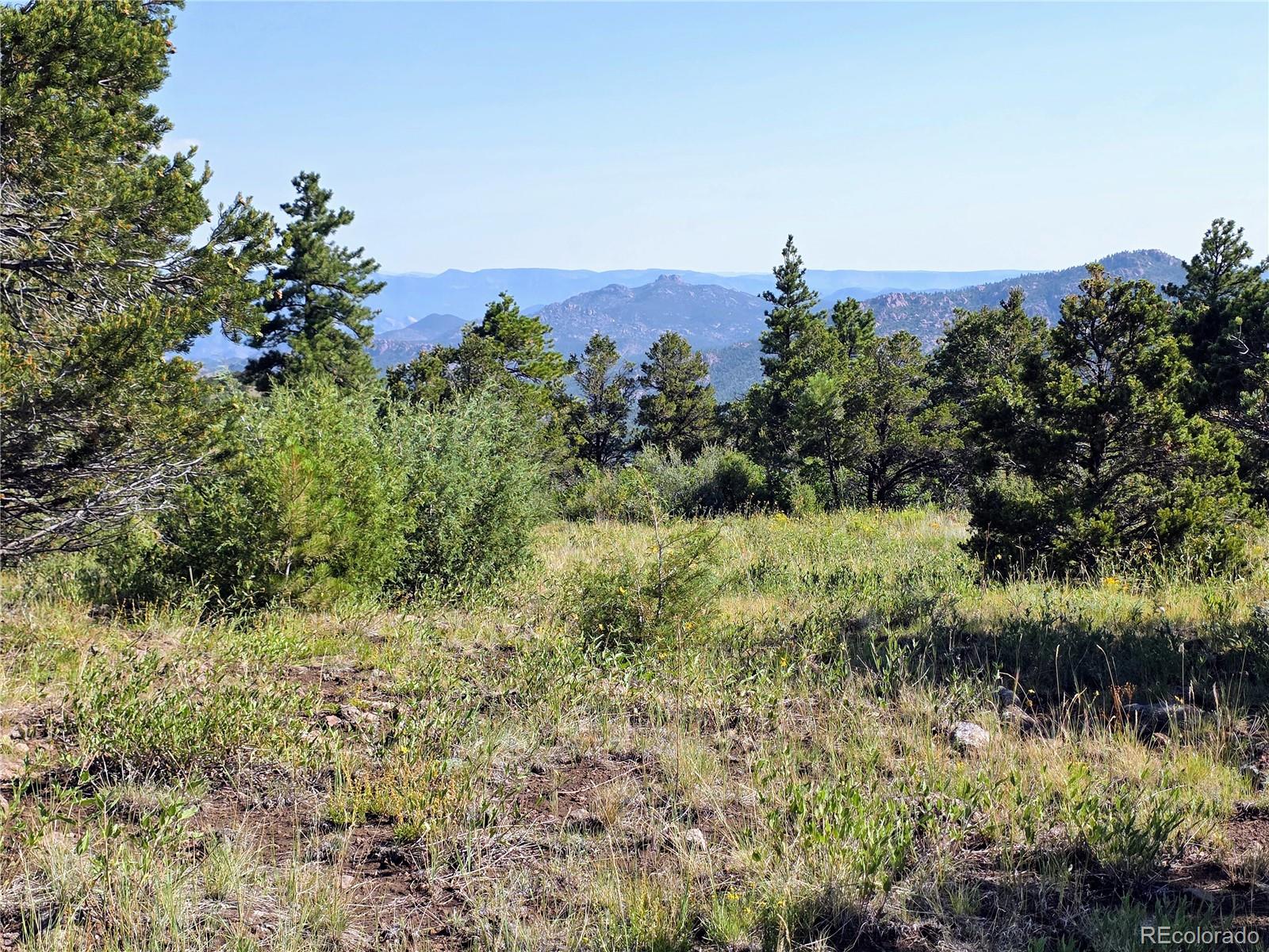 781 Ridgeway Road Cotopaxi, CO 81223 - Photo 20 of 42 a view of a garden with a tree